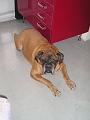 Spock 11 juli 2007 (2)